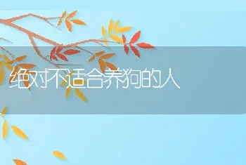 绝对不适合养狗的人