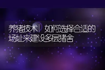 养猪技术|如何选择合适的场址来建设多层猪舍