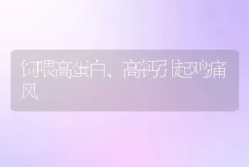 饲喂高蛋白、高钙引起鸡痛风