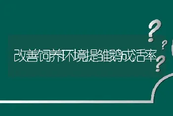 改善饲养环境提雏鹅成活率