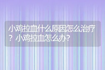 小鸡拉血什么原因怎么治疗？小鸡拉血怎么办？