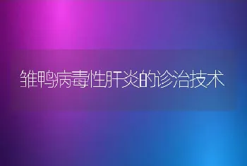 雏鸭病毒性肝炎的诊治技术