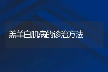 羔羊白肌病的诊治方法