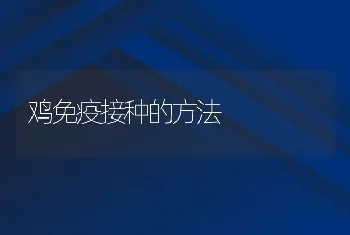 鸡免疫接种的方法