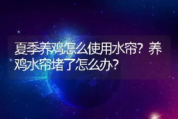 夏季养鸡怎么使用水帘？养鸡水帘堵了怎么办？