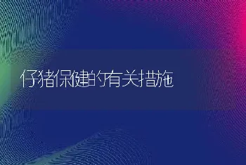 仔猪保健的有关措施