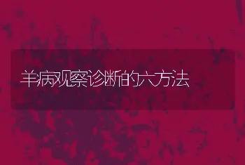 羊病观察诊断的六方法