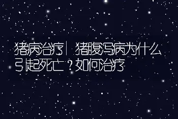 猪病治疗|猪腹泻病为什么引起死亡？如何治疗