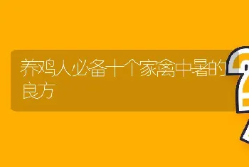 养鸡人必备十个家禽中暑的良方