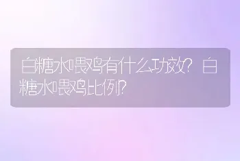 白糖水喂鸡有什么功效？白糖水喂鸡比例？