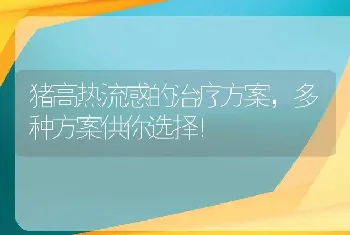 猪高热流感的治疗方案，多种方案供你选择！