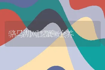 骆马湖网围蟹鳜套养