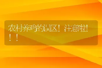 农村养鸡的误区！注意啦！！！