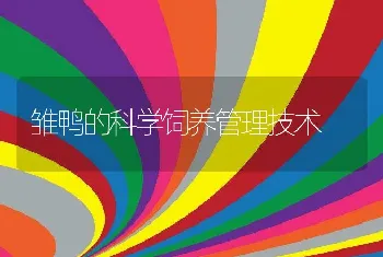 雏鸭的科学饲养管理技术