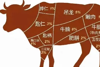 牛身上不同部位肉的营养及价值