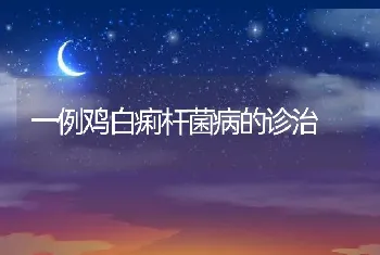 一例鸡白痢杆菌病的诊治