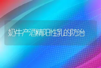 鸡饲料如何配比？