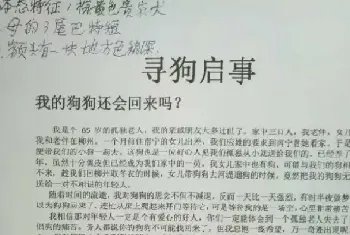 年迈夫妻寻狗启示：我的狗狗还会回来吗？