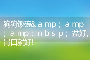 狗狗饭碗amp;amp;盆好，胃口就好！