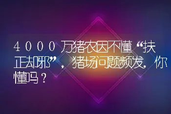 4000万猪农因不懂“扶正却邪”，猪场问题频发，你懂吗？