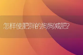 怎样使肥胖的狗狗减肥?