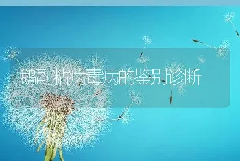 鹅副粘病毒病的鉴别诊断