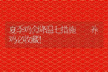 夏季鸡舍降温七措施  养鸡必收藏！