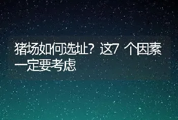 猪场如何选址？这7个因素一定要考虑