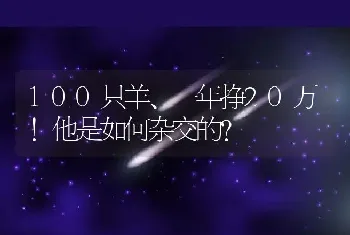 100只羊、一年挣20万！他是如何杂交的？