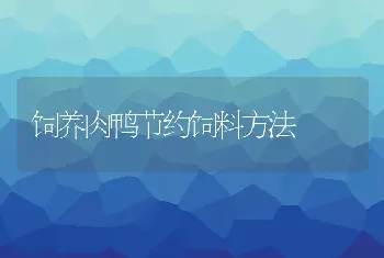 饲养肉鸭节约饲料方法