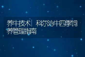 养牛技术|科尔沁牛四季饲养管理指南