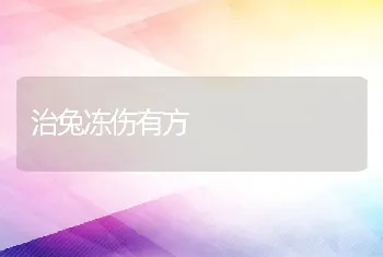 治兔冻伤有方