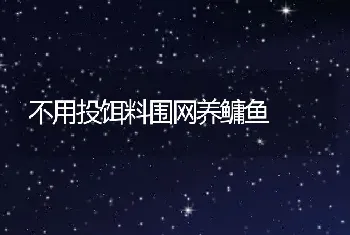 不用投饵料围网养鳙鱼