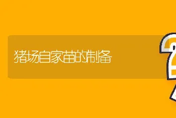 饲料添油脂肉鸡长得