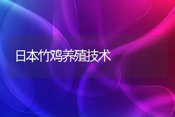 日本竹鸡养殖技术