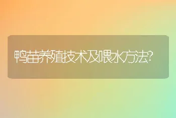 鸭苗养殖技术及喂水方法?