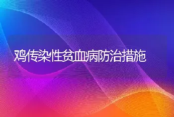 鸡传染性贫血病防治措施