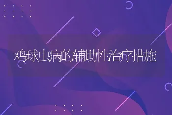 鸡球虫病的辅助性治疗措施