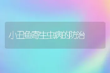 小丑鱼寄生虫病的防治