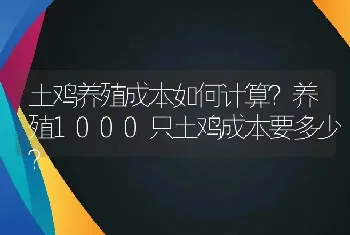 土鸡养殖成本如何计算？养殖1000只土鸡成本要多少？