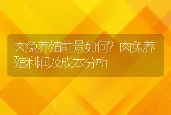 肉兔养殖前景如何？肉兔养殖利润及成本分析