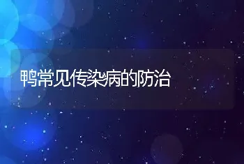 鸭常见传染病的防治