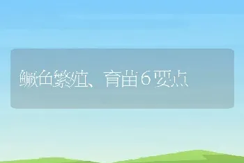 鳜鱼繁殖、育苗６要点