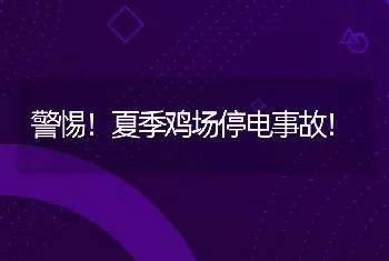 警惕！夏季鸡场停电事故！