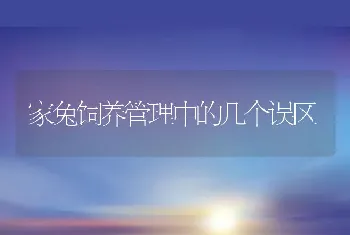 家兔饲养管理中的几个误区