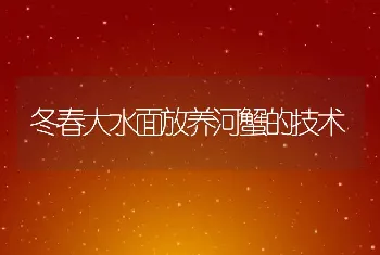 冬春大水面放养河蟹的技术