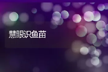 慧眼识鱼苗