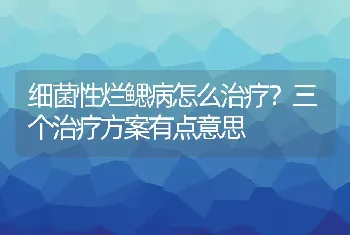 细菌性烂鳃病怎么治疗？三个治疗方案有点意思