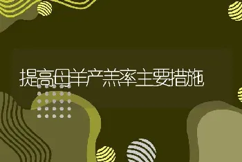 提高母羊产羔率主要措施