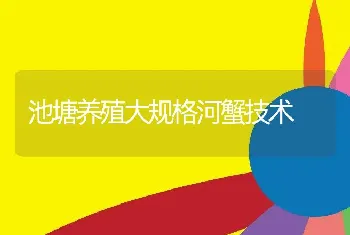 池塘养殖大规格河蟹技术